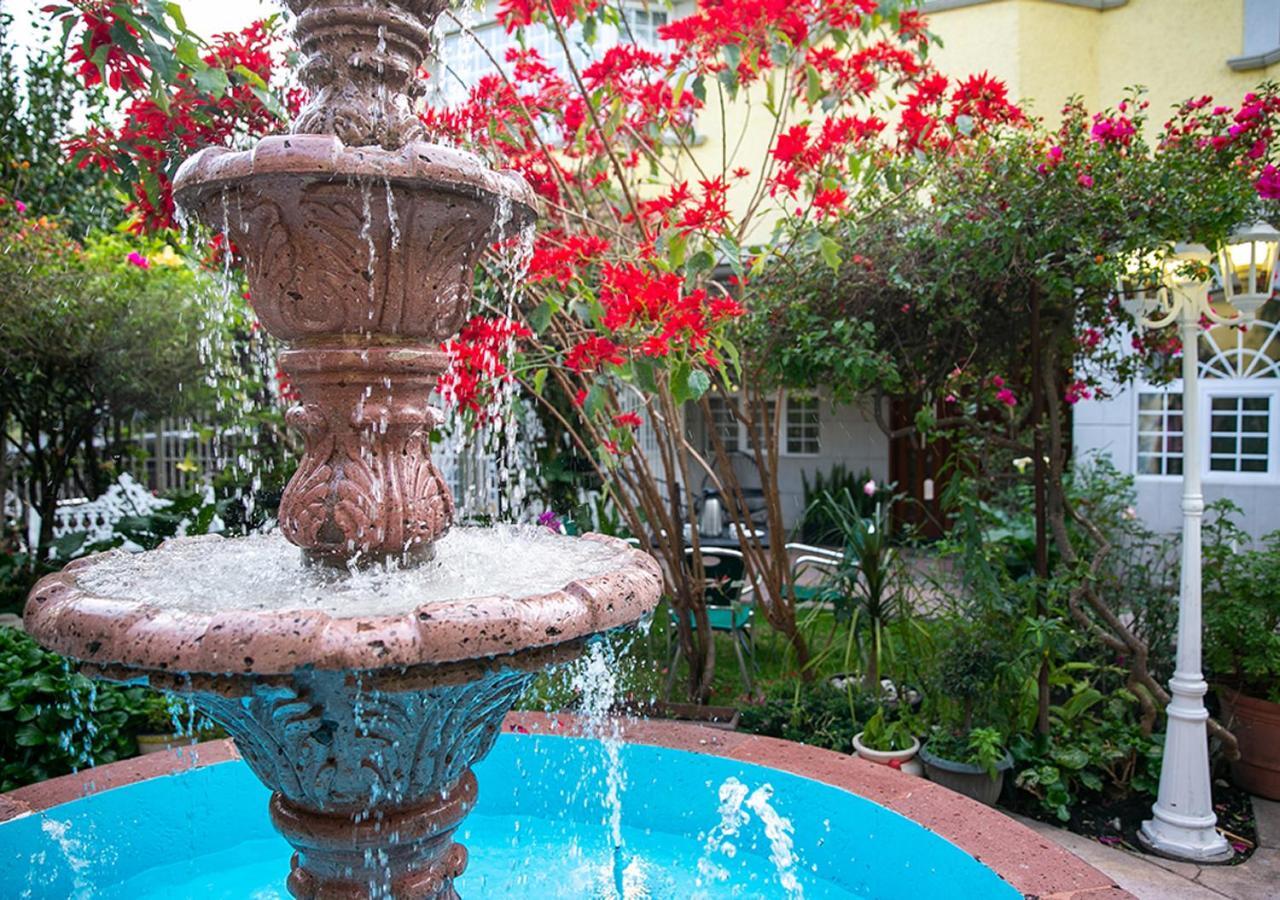 Casa San Pedro Mexico City Exterior photo