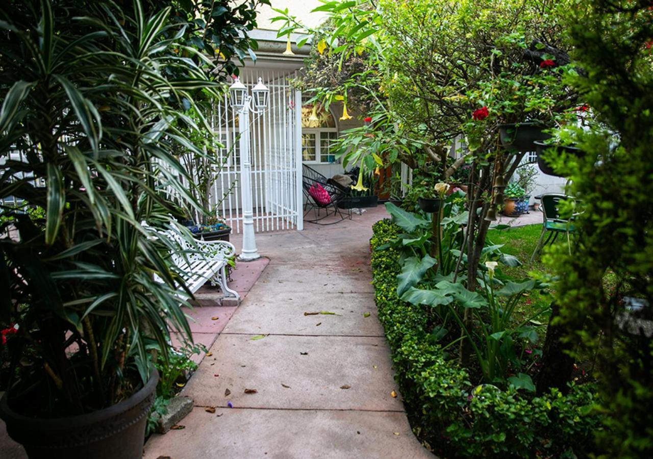 Casa San Pedro Mexico City Exterior photo